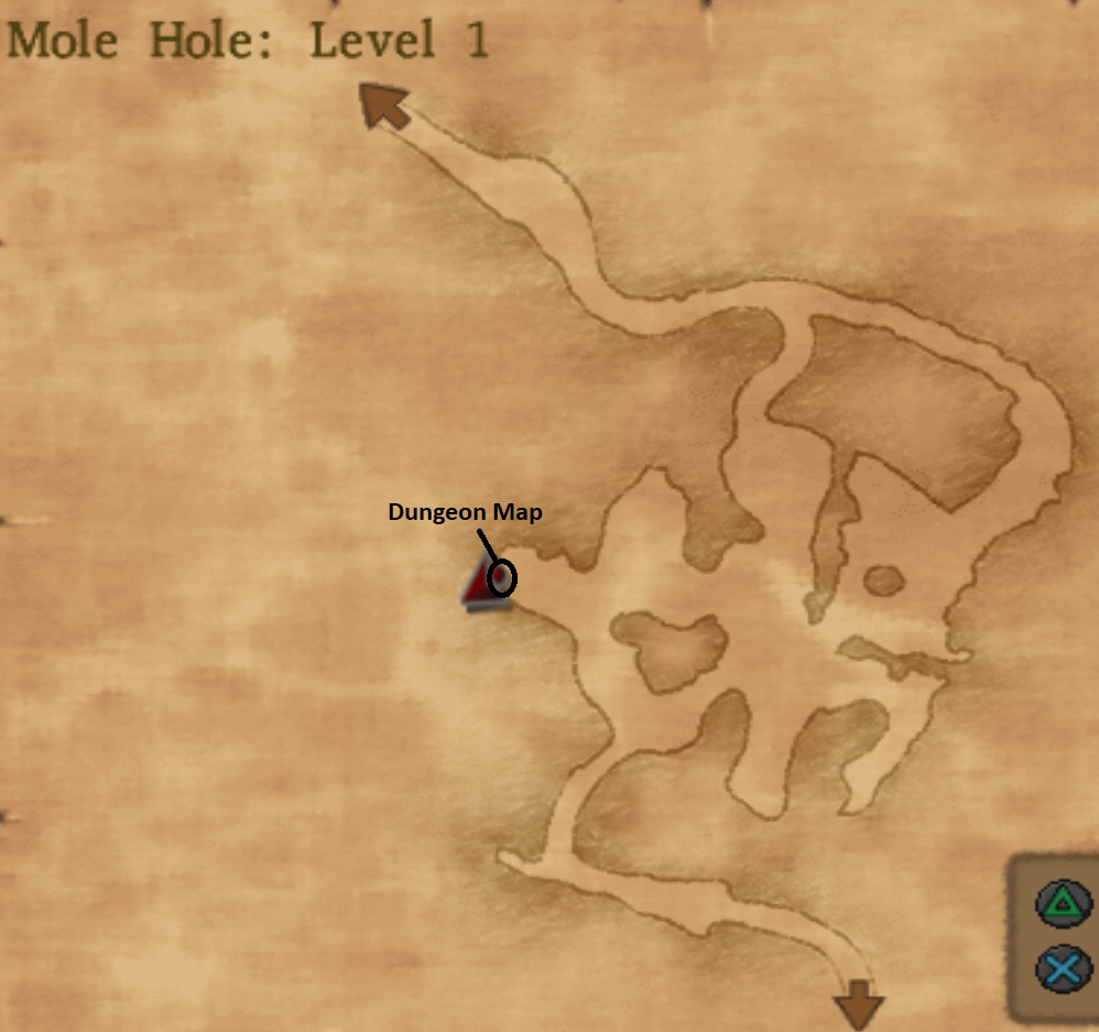 Mole Hole Level 1